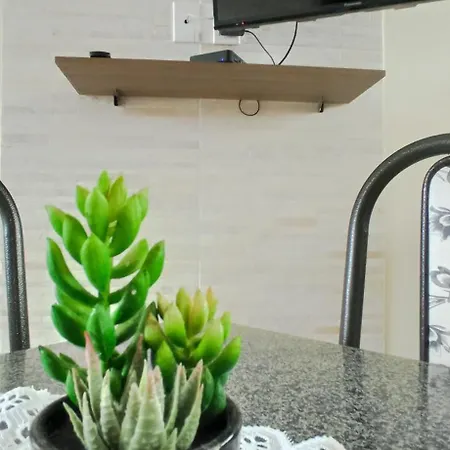 Lindo Apartamento, Pertinho Do Mar E Com Vista-3
